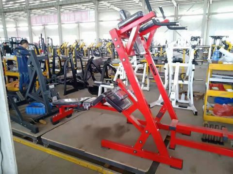 Станция для пресса 2в1 Insight Fitness TM77