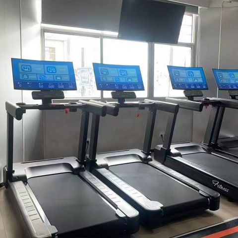 Беговая дорожка Gymmaster LZX-L30T